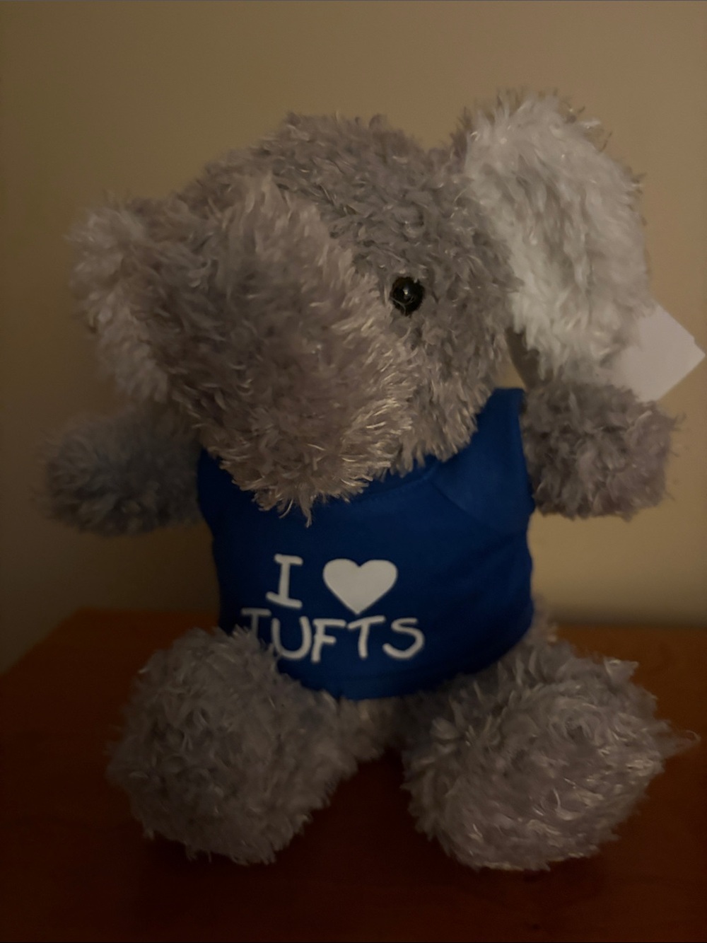TUFTS Jumbo stuffed animal